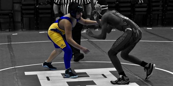Wrestle