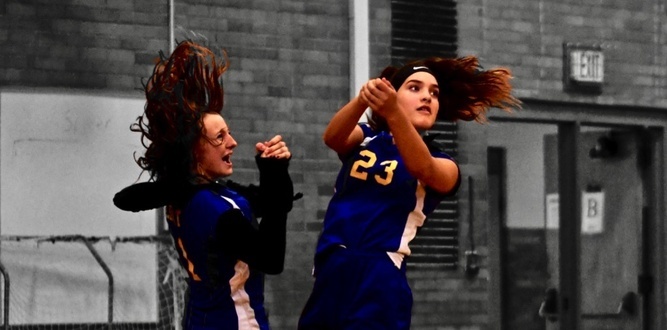 Volley